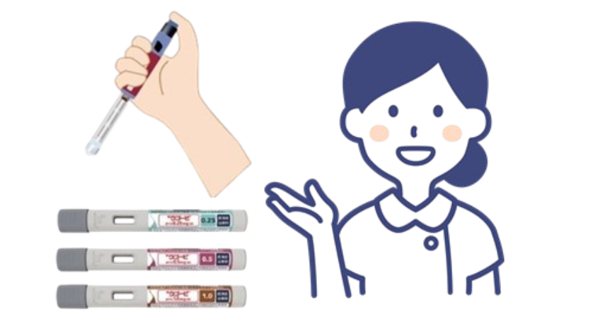 痩せたい方へ　治療の流れ